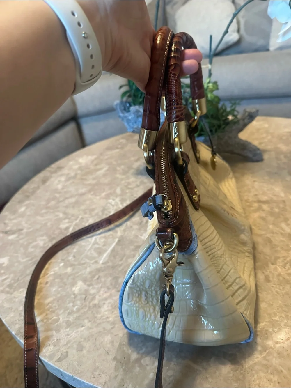 Brahmin elegant croc